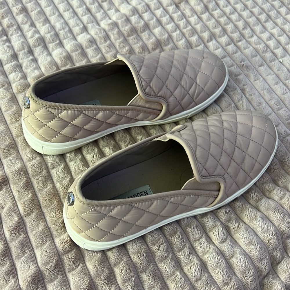 Blush Steve Madden Ecentrcq Sneaker